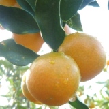 m̉摜n
