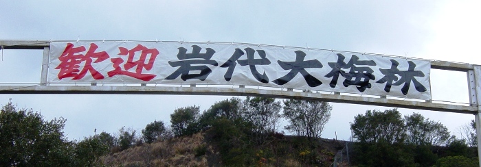 岩代大梅林の看板