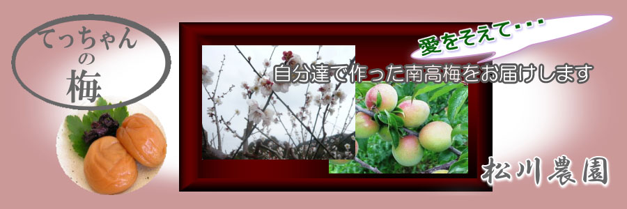 松川農園（まつかわのうえん）」【和歌山県、紀州みなべで南高梅、金柑を作って販売している専業農家です】