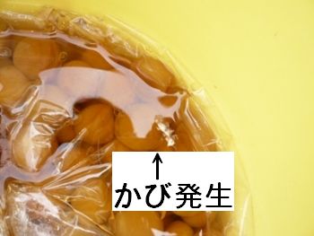 �~�������