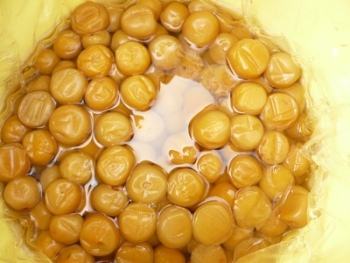 �~�������