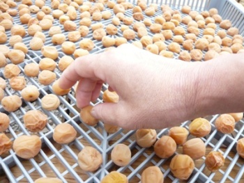 �~�������