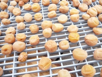 �~�������