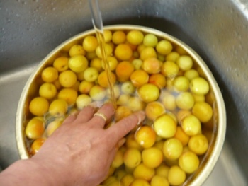 �~�������