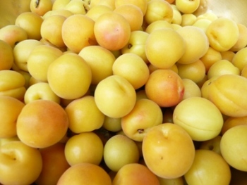 �~�������