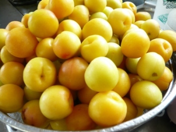 �~�������