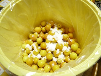 �~�������