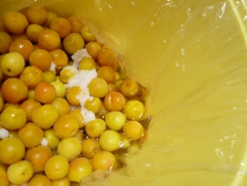 �~�������