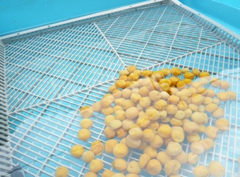 �~�������