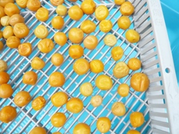 �~�������