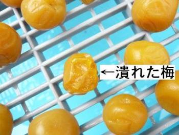 �~�������