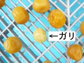 �~�������