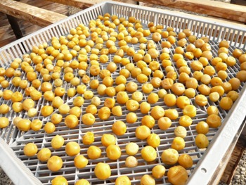 �~�������