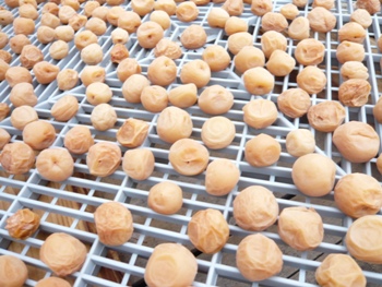 �~�������