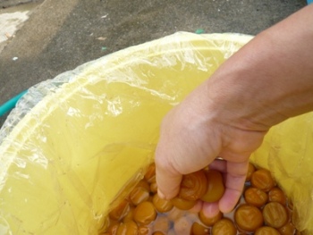 �~�������